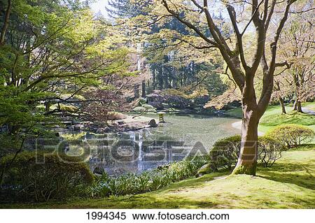 Nitobe Memorial Garden, A Traditional Japanese Tea And Stroll Garden Located At The University Of British Columbia, Vancouver, British Columbia, Canada View Large Photo Image Stock Photography - Nitobe Memorial Garden, A Traditional Japanese Tea And Stroll Garden Located At The University Of British Columbia, Vancouver, British Columbia, Canada. Fotosearch