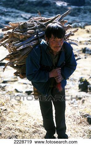 Stock Photo - Nomad Chap Carrying Logs For The Fire, 4000 Metres Above Paro Valley, Bhutan Photo: Jill Mead/Axiom. Fotosearch