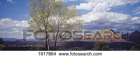Picture - Non-Urban Landscape. Fotosearch