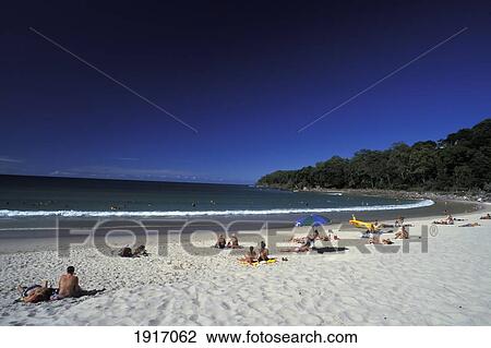 Stock Image - Noosa Beach, Queensland. Fotosearch