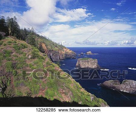 Norfolk Island coastline; Norfolk Island View Large Photo Image Stock Photography - Norfolk Island coastline; Norfolk Island. Fotosearch