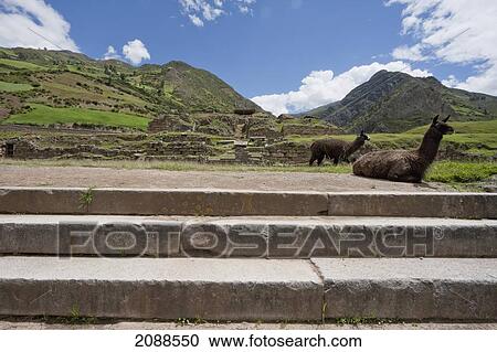 Stock Image - Northern Platform, Chavin De Huantar, Ancash, Peru. Fotosearch