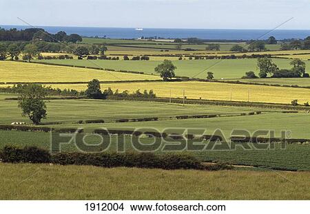 Picture - Northumberland Coast, Uk.. Fotosearch