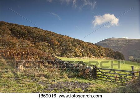Stock Photograph - Northumberland, England; A Field With A Fence And A Gate. Fotosearch