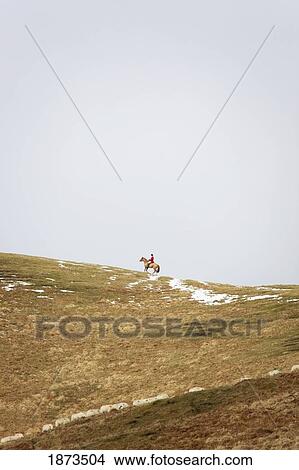 Picture - Northumberland, England; A Person On A Horse At The Top Of A Hill With Traces Of Snow. Fotosearch