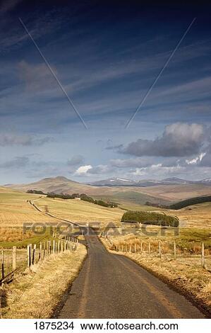 Northumberland, England; A Road With Fields On Both Sides View Large Photo Image Picture - Northumberland, England; A Road With Fields On Both Sides. Fotosearch