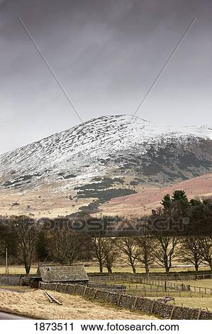 Stock Image - Northumberland, England; Fences, Trees And A Shed With Snow Covered Hills In The Background. Fotosearch