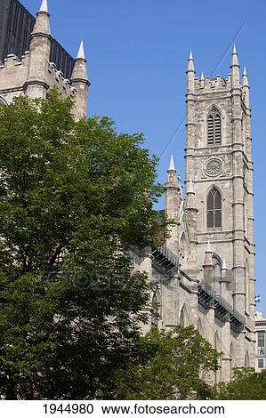 Notre-Dame Basilica At Place-D'armes In Old Montreal; Montreal Quebec Canada View Large Photo Image Stock Image - Notre-Dame Basilica At Place-D'armes In Old Montreal; Montreal Quebec Canada. Fotosearch