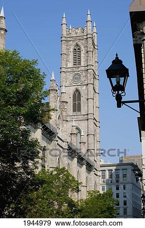 Notre-Dame Basilica At Place-D'armes In Old Montreal; Montreal Quebec Canada View Large Photo Image Stock Photo - Notre-Dame Basilica At Place-D'armes In Old Montreal; Montreal Quebec Canada. Fotosearch