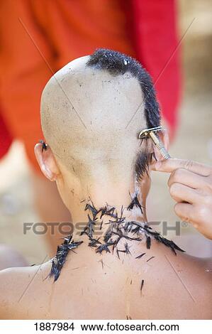 Picture - Novice Monks Having Their Heads Shaved At Wat Naluang.. Fotosearch