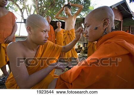Novice Monks Having Their Heads Shaved At Wat Naluang, Luang Prabang, Northern Laos View Large Photo Image Picture - Novice Monks Having Their Heads Shaved At Wat Naluang, Luang Prabang, Northern Laos. Fotosearch