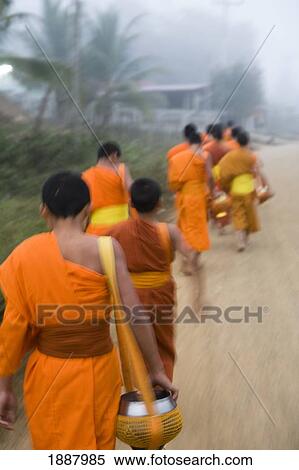 Novice Monks Out In The Early Morning Collecting Alms. View Large Photo Image Stock Photography - Novice Monks Out In The Early Morning Collecting Alms.. Fotosearch