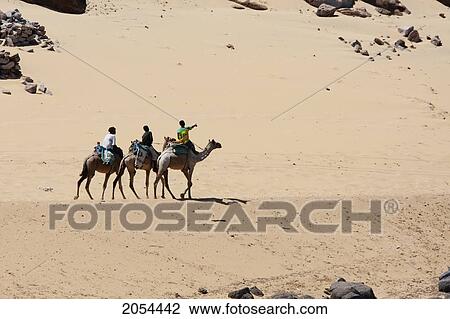 Nubian Boys Riding Camel Near The Village Of Nag Gharb Siheil, Aswan, Egypt View Large Photo Image Stock Image - Nubian Boys Riding Camel Near The Village Of Nag Gharb Siheil, Aswan, Egypt. Fotosearch