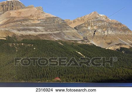 Picture - Num-Ti-Jah Lodge On Bow Lake In Banff National Park; Banff Alberta Canada. Fotosearch
