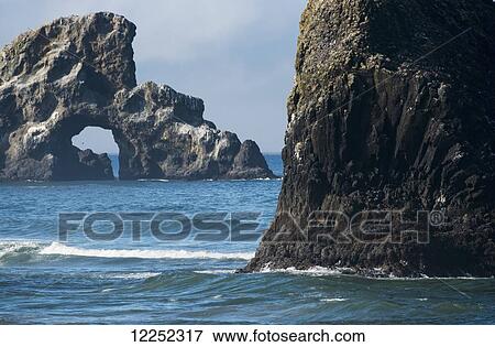 Numerous sea stacks are found along the Oregon Coast; Cannon Beach, Oregon, United States of America View Large Photo Image Stock Photo - Numerous sea stacks are found along the Oregon Coast; Cannon Beach, Oregon, United States of America. Fotosearch