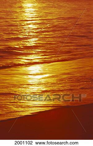 Ocean Shoreline With Orange Reflections At Sunset Texture Golden View Large Photo Image Stock Image - Ocean Shoreline With Orange Reflections At Sunset Texture Golden. Fotosearch