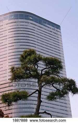 Stock Photo - Office Building And Tree In Hamarikyu Gardens. Fotosearch