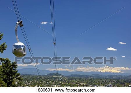 Stock Image - Ohsa Tram And Mount Hood; Portland, Oregon, Usa. Fotosearch