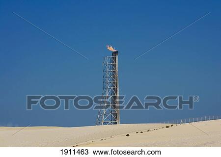 Stock Image - Oil Refinery At Desert, Qatar. Fotosearch