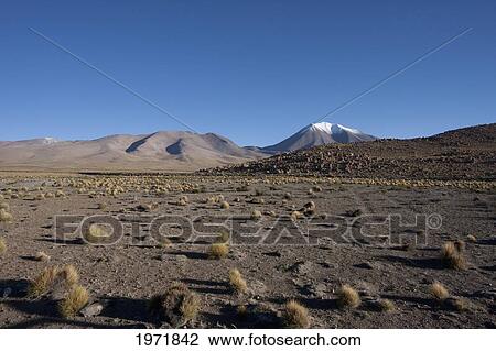 Olca-Paruma Massif, Antofagasta Region, Chile View Large Photo Image Stock Image - Olca-Paruma Massif, Antofagasta Region, Chile. Fotosearch