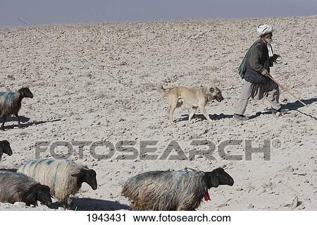 Stock Image - Old Afghan Shepherd With His Dog In The Outskirts Of Kabul,, Afghanistan. Fotosearch