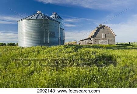 Old Barn With Metal Grain Bins; Ponteix Saskatchewan Canada View Large Photo Image Stock Photo - Old Barn With Metal Grain Bins; Ponteix Saskatchewan Canada. Fotosearch