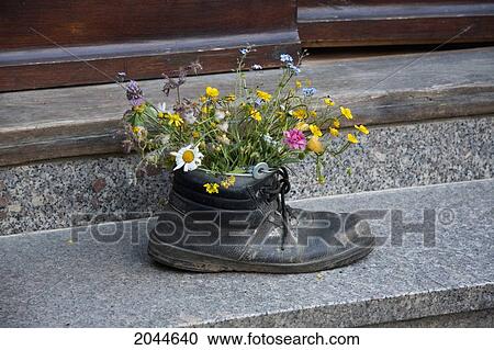 Old Boot With Flowers, Quedlinburg, Germany View Large Photo Image Stock Image - Old Boot With Flowers, Quedlinburg, Germany. Fotosearch