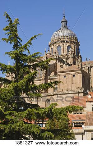 Old Cathedral And Dome Seen From Plaza Concilio De Trento; Salamanca, Salamanca Province, Spain View Large Photo Image Stock Photo - Old Cathedral And Dome Seen From Plaza Concilio De Trento; Salamanca, Salamanca Province, Spain. Fotosearch