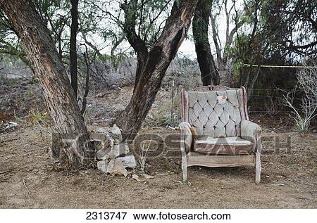 Old chair next to tree; Aguascalientes, Aguascalientes state, Mexico View Large Photo Image Stock Photo - Old chair next to tree; Aguascalientes, Aguascalientes state, Mexico. Fotosearch