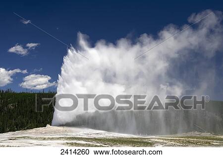 Old Faithful blowing, Yellowstone National Park; Wyoming, United States of America View Large Photo Image Stock Image - Old Faithful blowing, Yellowstone National Park; Wyoming, United States of America. Fotosearch