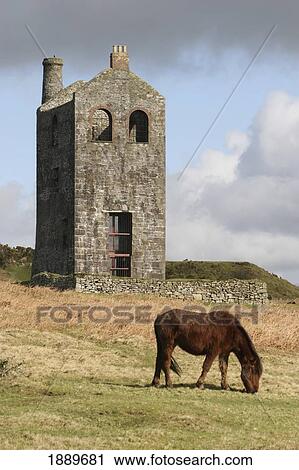 Old Mine Building And Horse View Large Photo Image Stock Image - Old Mine Building And Horse. Fotosearch