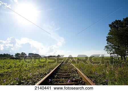 Old Rail Tracks In Santa Barbara Do Sul, Rio Grande Do Sul, Brazil View Large Photo Image Stock Image - Old Rail Tracks In Santa Barbara Do Sul, Rio Grande Do Sul, Brazil. Fotosearch
