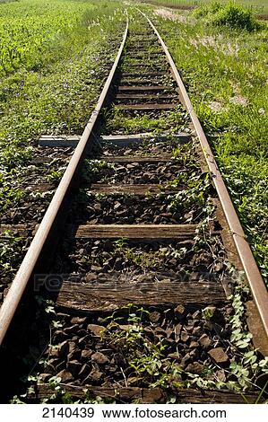 Old Rail Tracks In Santa Barbara Do Sul, Rio Grande Do Sul, Brazil View Large Photo Image Stock Photo - Old Rail Tracks In Santa Barbara Do Sul, Rio Grande Do Sul, Brazil. Fotosearch