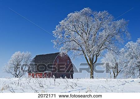 Old Red Barn In Winter, Near Oakbank, Manitoba View Large Photo Image Stock Image - Old Red Barn In Winter, Near Oakbank, Manitoba. Fotosearch