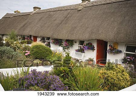 Stock Photo - Old Thatched Cottages; Dunmore East County Waterford Ireland. Fotosearch