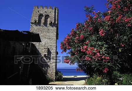 Stock Photography - Old Tower And Shrub With Red Flowers. Fotosearch
