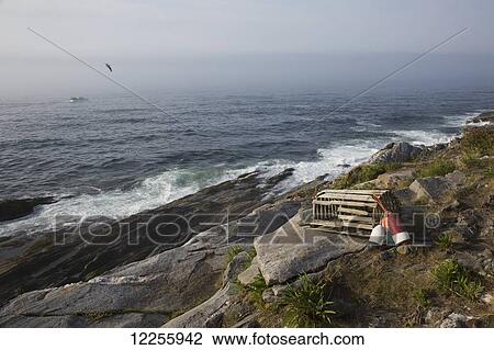 Stock Image - Old wooden lobster trap and buoys by wild roses, on bluff overlooking Atlantic Ocean, Pemaquid Peninsula; Maine, United States of America. Fotosearch