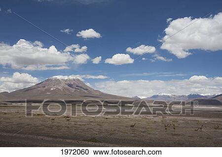 Ollague Volcano, Antofagasta Region, Chile View Large Photo Image Stock Image - Ollague Volcano, Antofagasta Region, Chile. Fotosearch