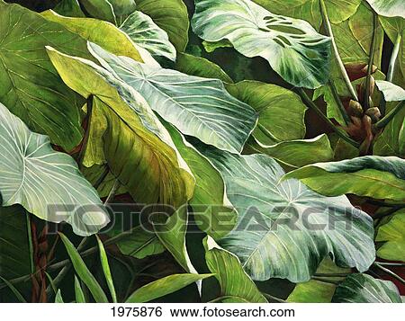 Stock Photograph - Oma'o, Green Leaves (Acrylic Painting).. Fotosearch