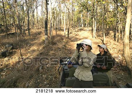 On jeep safari in Pench National Park; Madhya Pradesh, India View Large Photo Image Stock Photo - On jeep safari in Pench National Park; Madhya Pradesh, India. Fotosearch