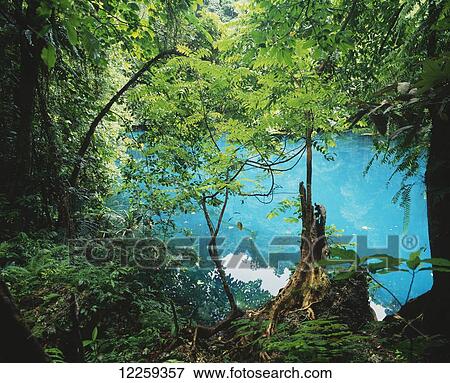 One of many Blue Holes that sprinkle the Vanuatu archipelago; Efate Island, Vanuatu View Large Photo Image Stock Photo - One of many Blue Holes that sprinkle the Vanuatu archipelago; Efate Island, Vanuatu. Fotosearch