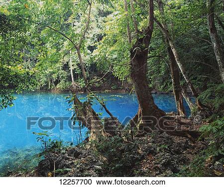 One of several Blue Holes on Efate Island; Efate Island, Vanuatu View Large Photo Image Stock Image - One of several Blue Holes on Efate Island; Efate Island, Vanuatu. Fotosearch