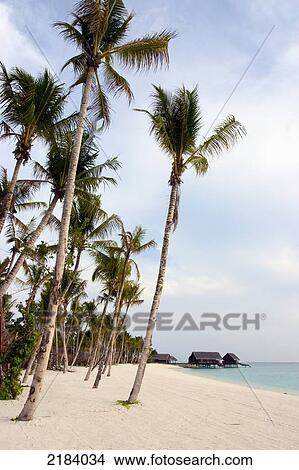 One & Only Reethi Rah Resort Maldives View Large Photo Image Picture - One & Only Reethi Rah Resort Maldives. Fotosearch