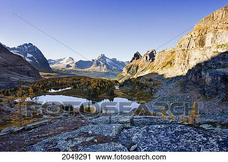 Stock Image - Opabin Plateau, Hungabee Lake And Mountains, Yoho National Park, British Columbia. Fotosearch