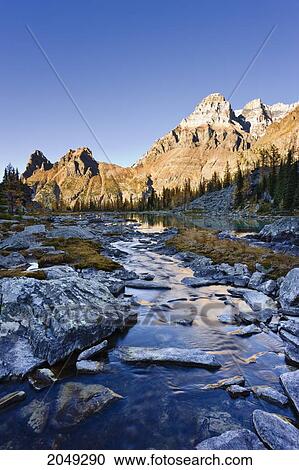 Opabin Plateau, River And Mount Huber With Mount Victoria, Yoho National Park, British Columbia View Large Photo Image Stock Image - Opabin Plateau, River And Mount Huber With Mount Victoria, Yoho National Park, British Columbia. Fotosearch