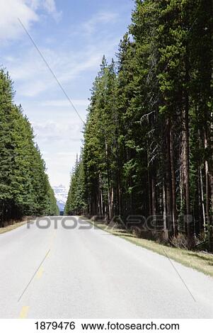 Stock Photograph - Open Road In Bow Valley Parkway. Fotosearch