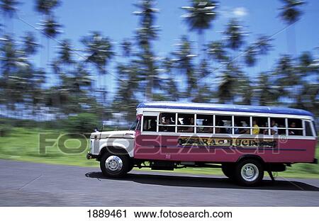 Stock Image - Open-Sided Bus By Palm Trees, Blurred Motion. Fotosearch