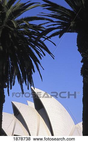 Stock Photo - Opera House And Palm Trees. Fotosearch