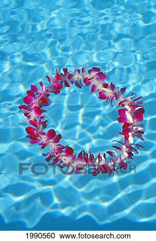 Stock Image - Orchid Lei Floating In Pool With Water Reflections, Close-Up. Fotosearch