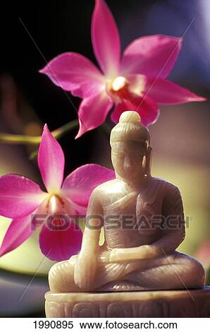 Stock Photography - Orchids By Small Ivory Buddha Statue. Fotosearch
